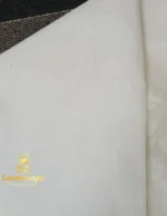 LDS60-White saree-2 - Image 2